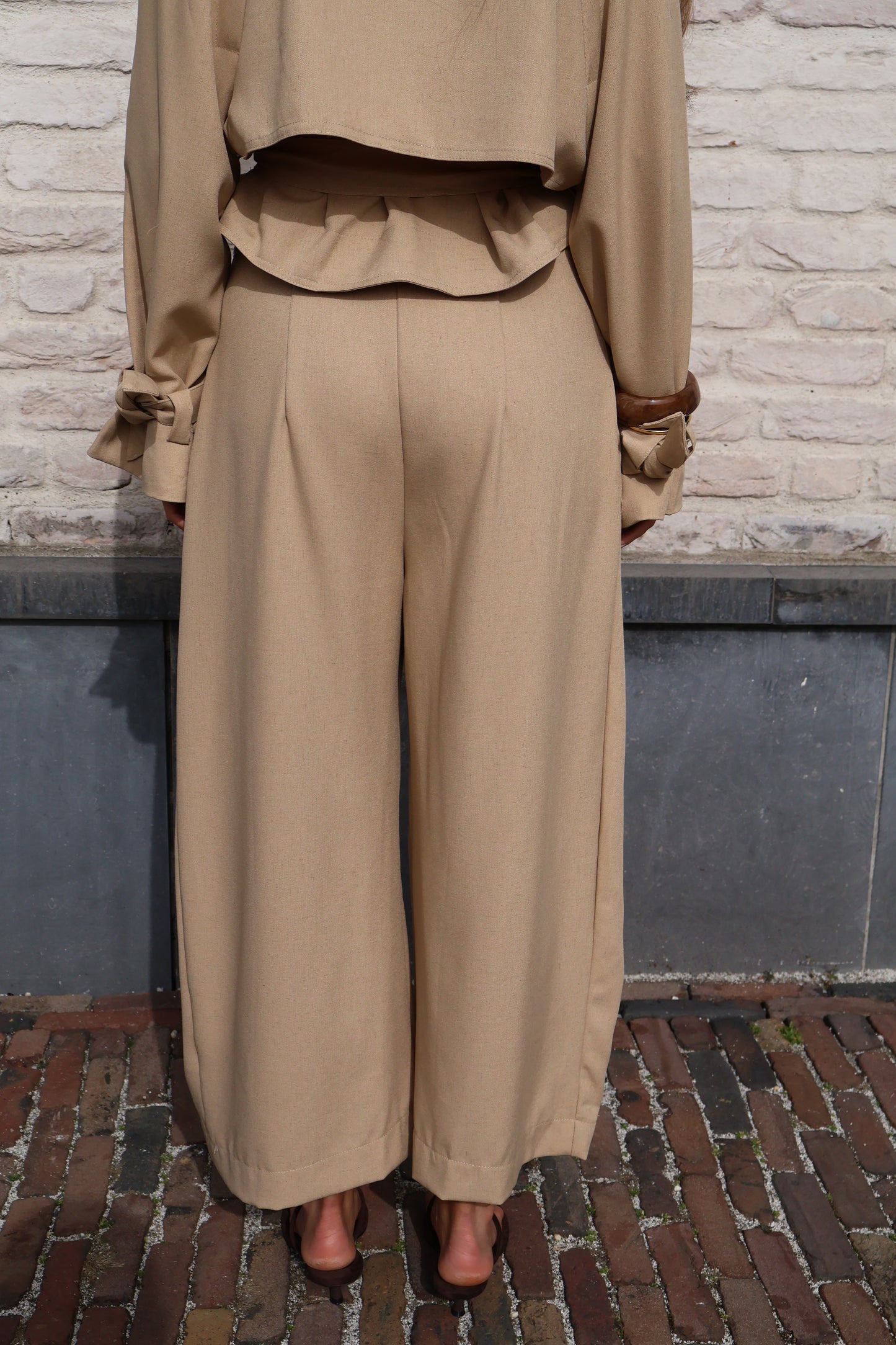 Julia set - Camel