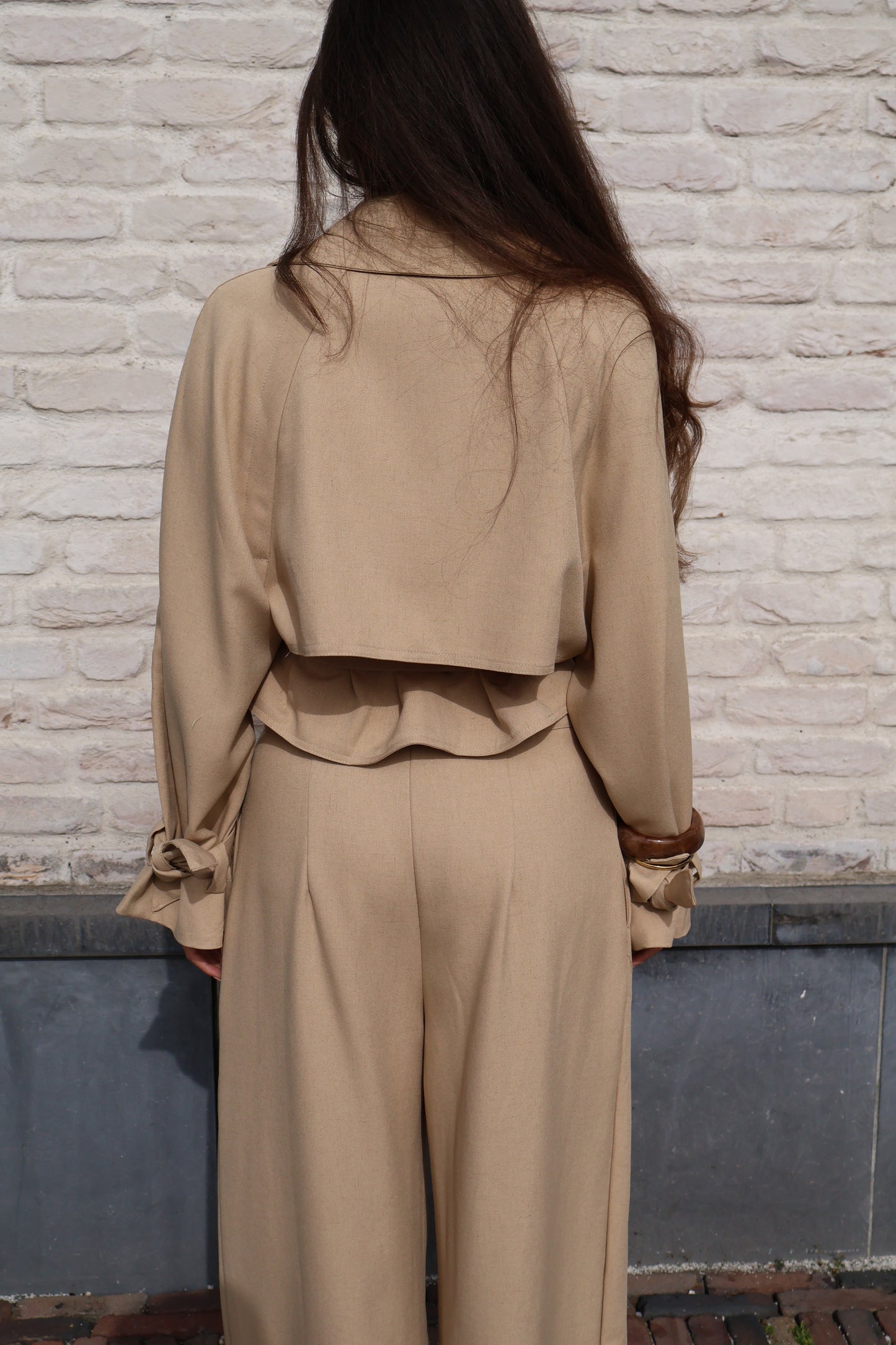 Julia set - Camel