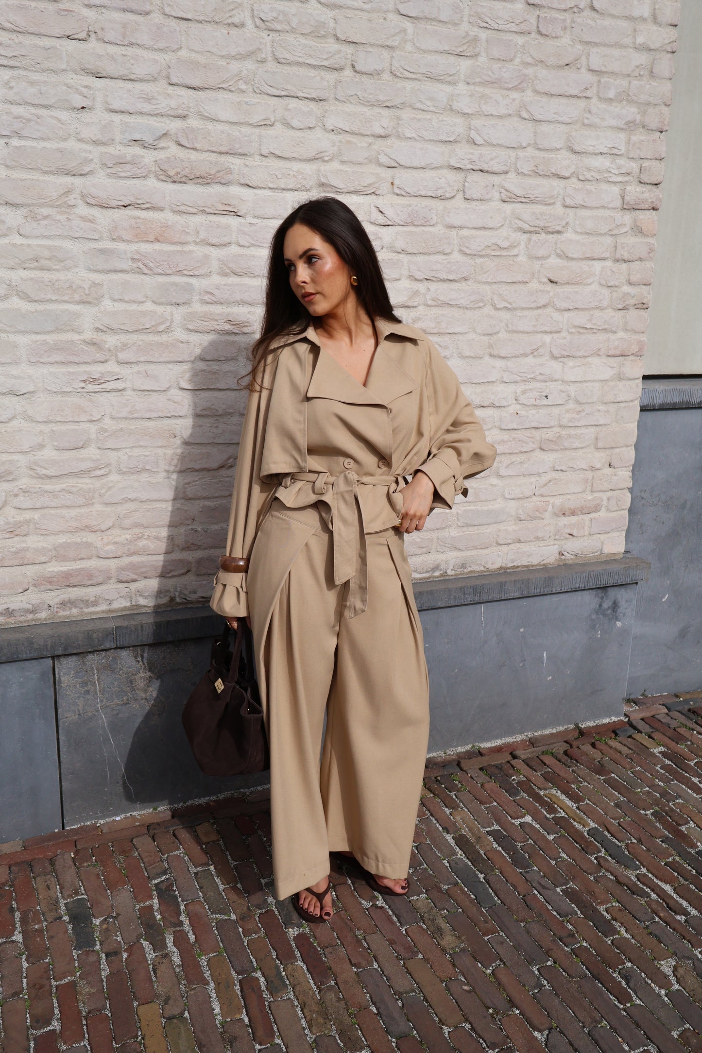 Julia set - Camel